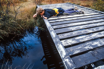 Foto: &copy; Bj&oslash;rn Ivar Haugen, "Bru, Moldeelva 1999"